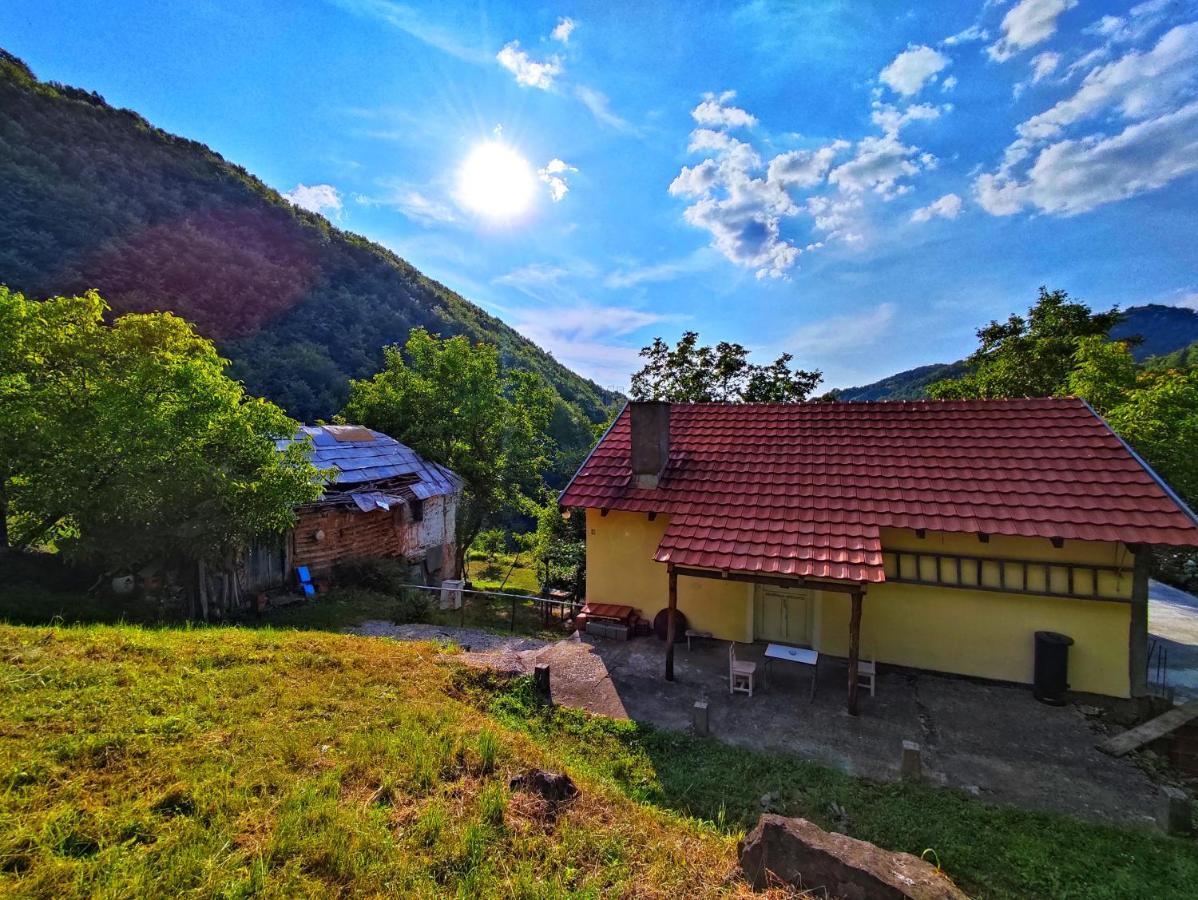 Std "Vila Bor" Stara Planina Hotel Crni Vrh Exterior foto