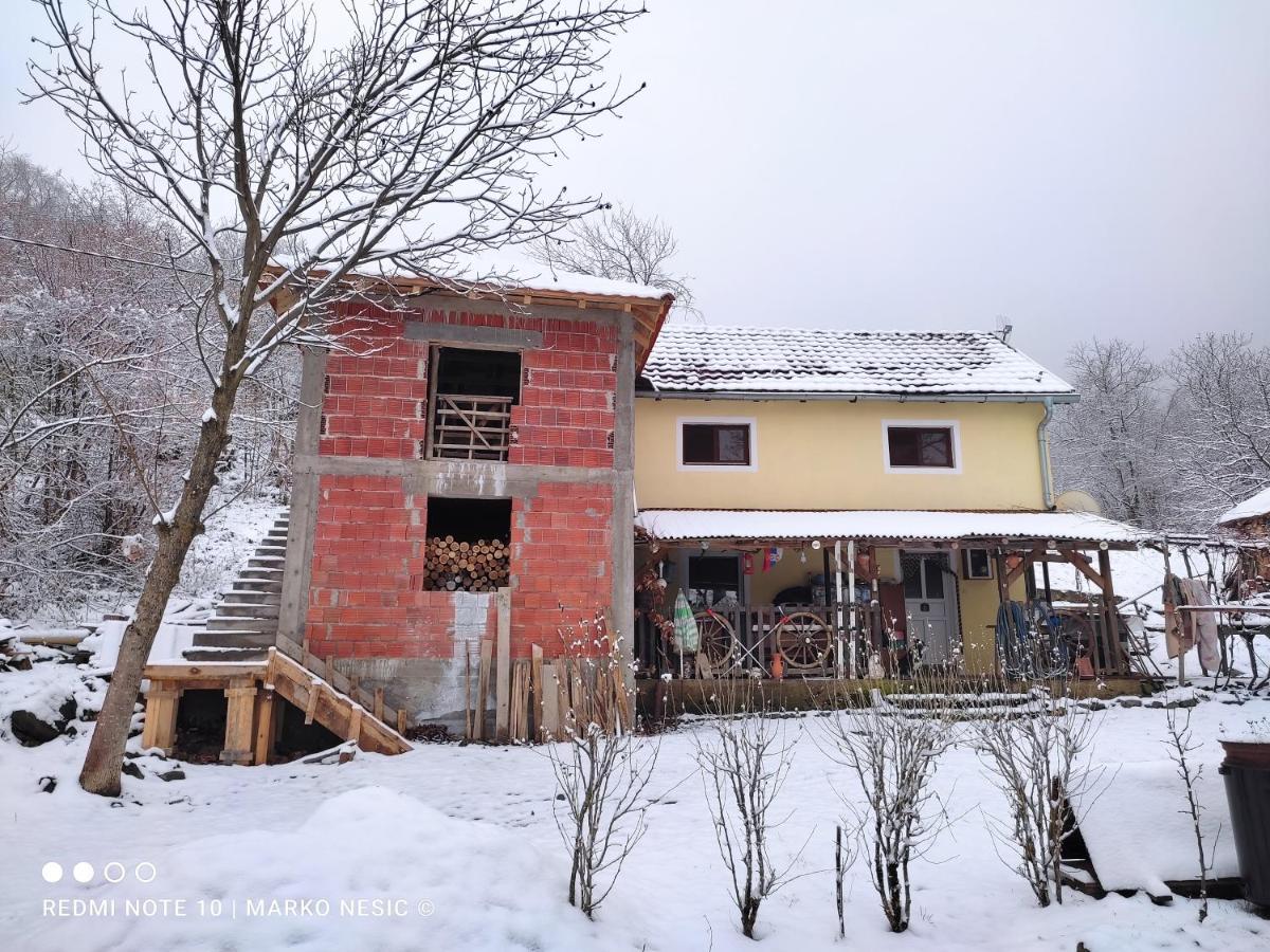 Std "Vila Bor" Stara Planina Hotel Crni Vrh Exterior foto